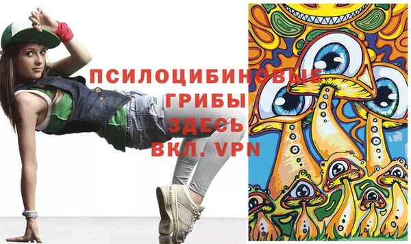 mdpv Гусев