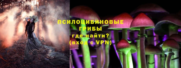 mdpv Гусев