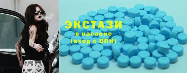 сатива Гусь-Хрустальный