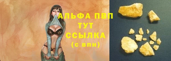 сатива Гусь-Хрустальный