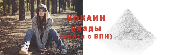 mdpv Гусев