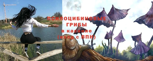 Альфа ПВП Гусиноозёрск