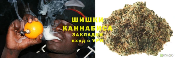 Альфа ПВП Гусиноозёрск
